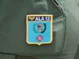 Detalhe do distintivo da ALA 12