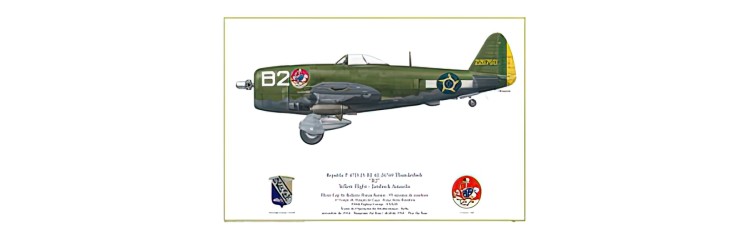 Republic P-47D-25-RE Thunderbolt "B2" - Yellow Flight