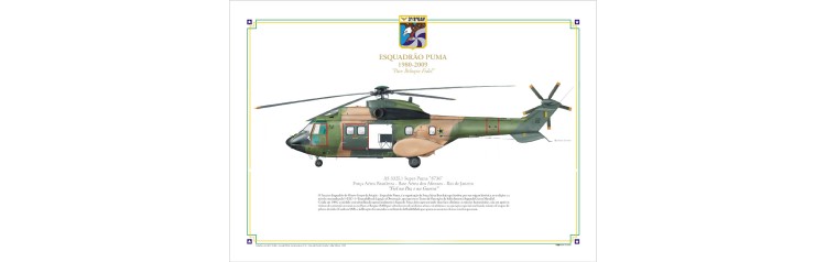 Esquadrão Puma 1980-2009 "Pace Beloque Fidel"