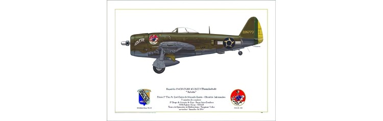 Republic P-47D-25-RE Thunderbolt "Arlette" - Blue Flight