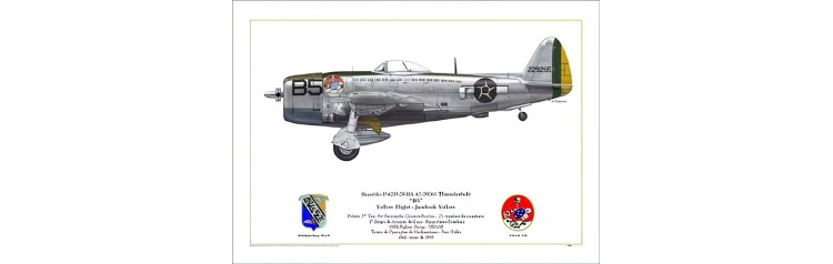 B5 - 1º Grupo de Aviação de Caça - Senta A Púa!