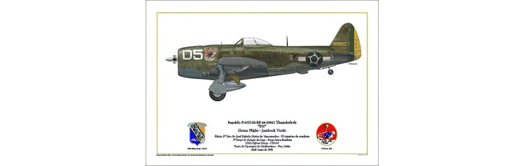 Republic P-47D-28-RE Thunderbolt "D5" - Green Flight