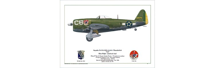 Republic P-47D-25-RE Thunderbolt "C6" - Blue Flight