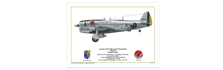 Republic P-47D-25-RE Thunderbolt "Black 1" - Jambock Leader