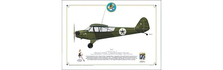 Piper Cub L4-H "Luly"